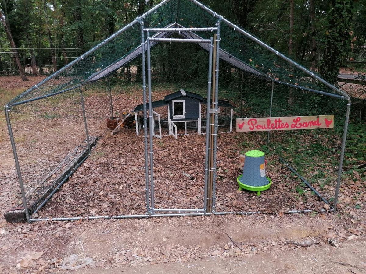 Emplacement Tente Camping Car Saint-Aubin-de-Nabirat Exteriér fotografie